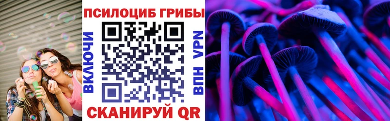 купить наркотики сайты Алексин Псилоцибиновые грибы прущие грибы