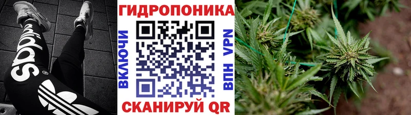 МАРИХУАНА гибрид  купить наркоту  Алексин 